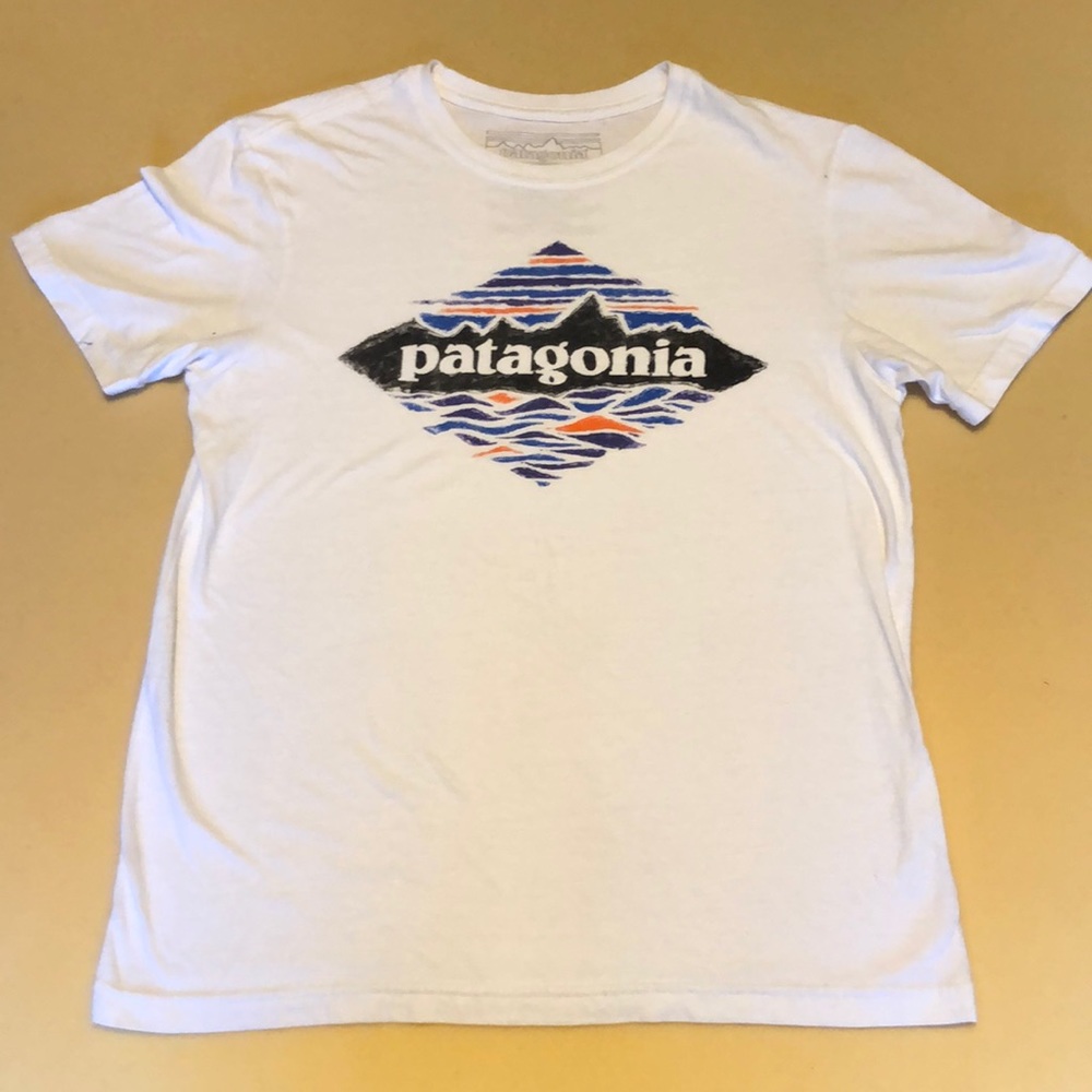 Patagonia t shirt